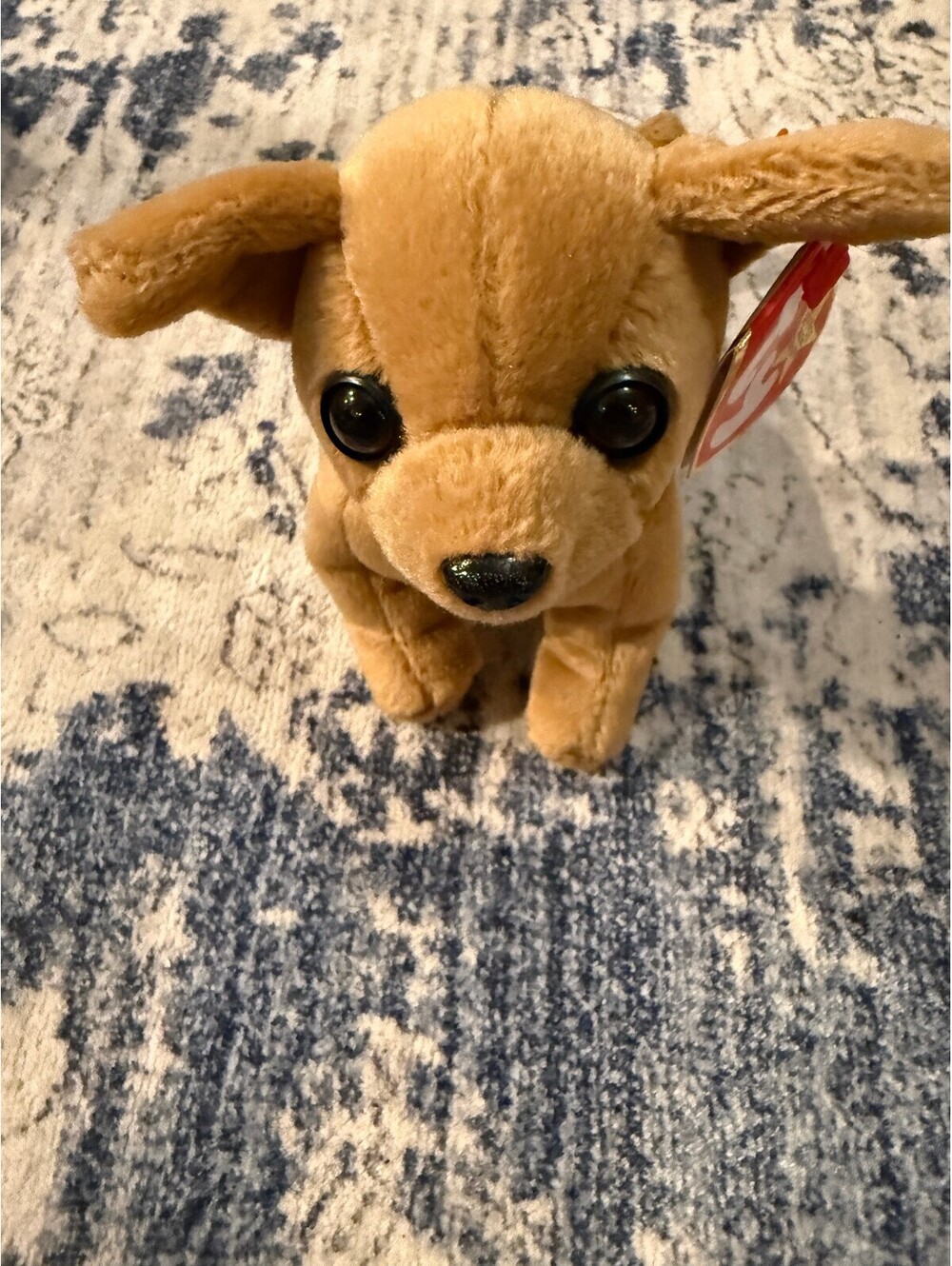 Ty Beanie Baby Tiny Chihuahua 1998 Retired Dog Tags